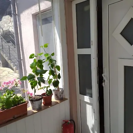 De Inchiriat Nicoleta Pensionat