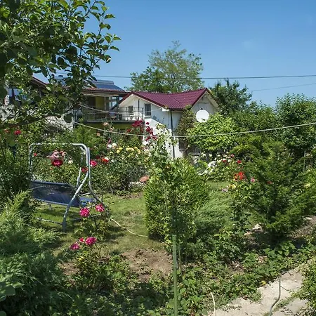 De Inchiriat Nicoleta Guest house 2*