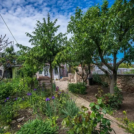 Guest house De Inchiriat Nicoleta