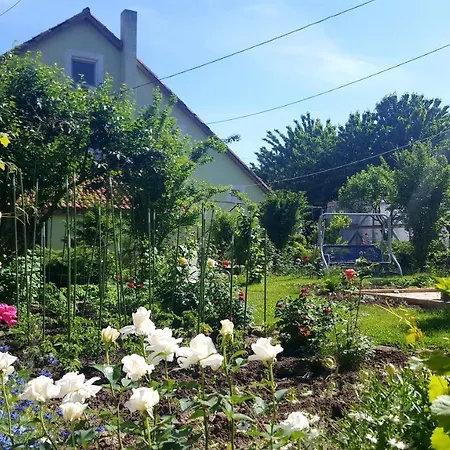 Guest house De Inchiriat Nicoleta Vama Veche