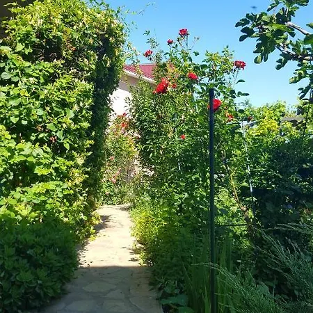 De Inchiriat Nicoleta Pensionat Vama Veche